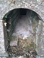shannonbridge cap-1201.jpg